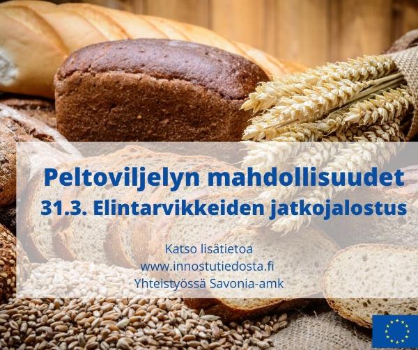 Elintarvikkeiden jatkojalostus